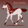 9283 Bukardia foal ref