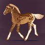 A2127 foal