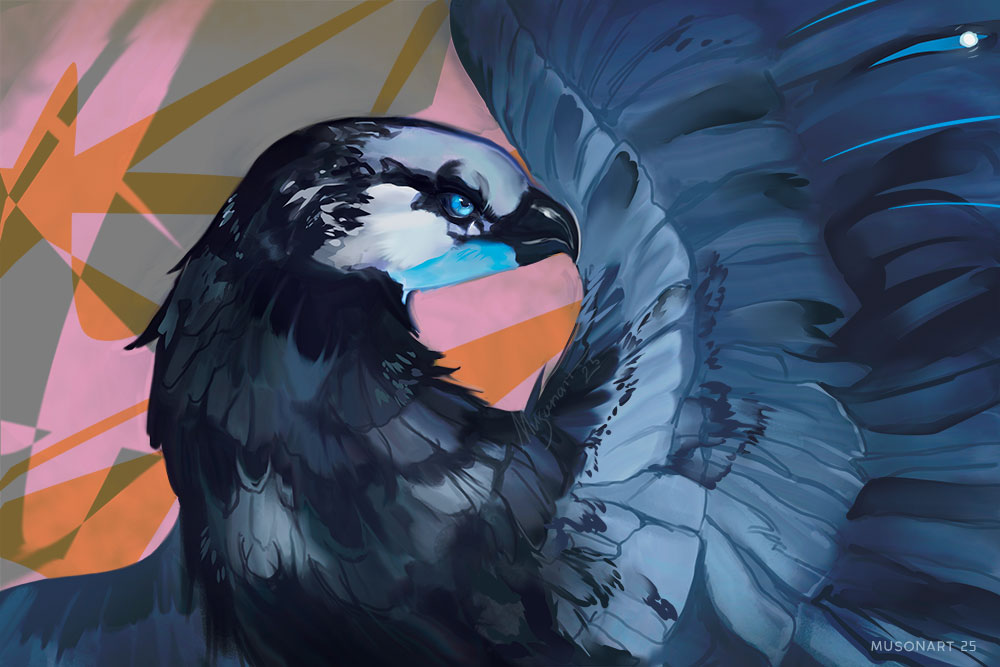 Birds Deviantart Big bird by MUSONART on DeviantArt