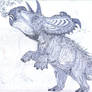 Albertaceratops