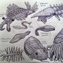 Cambrian and Ordovician Animals