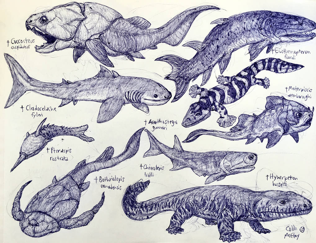 Devonian Animals by MickeyRayRex on DeviantArt