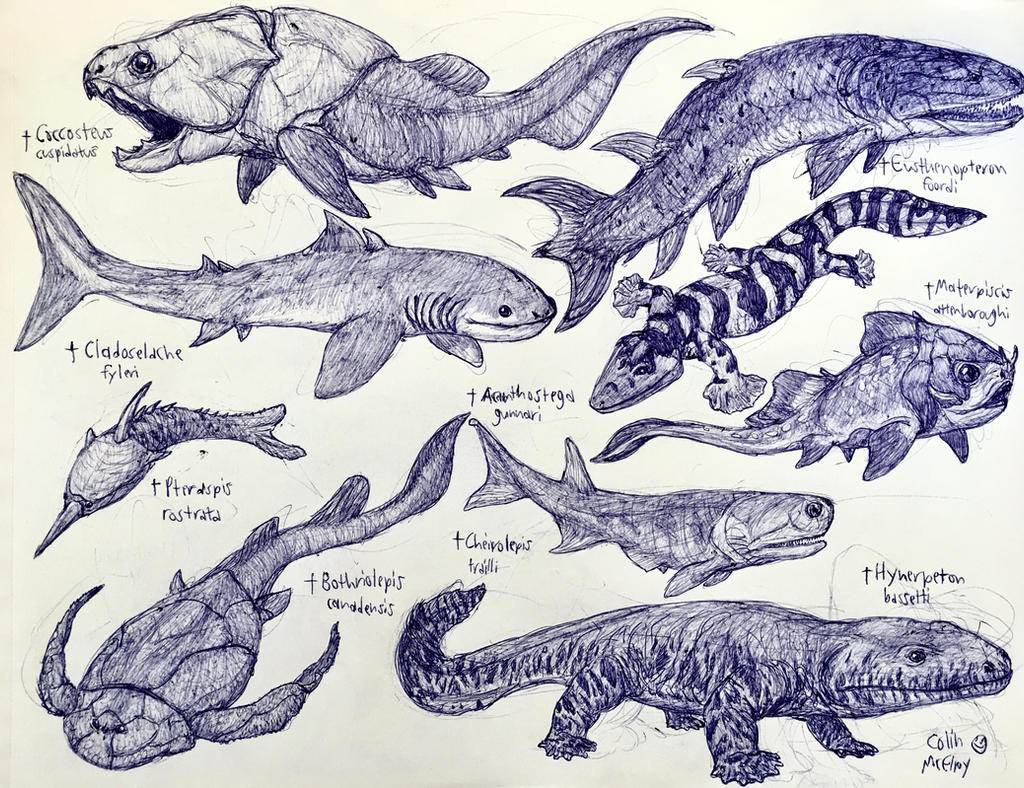 Devonian Period Animals Panderichthys | 3D Dinopedia