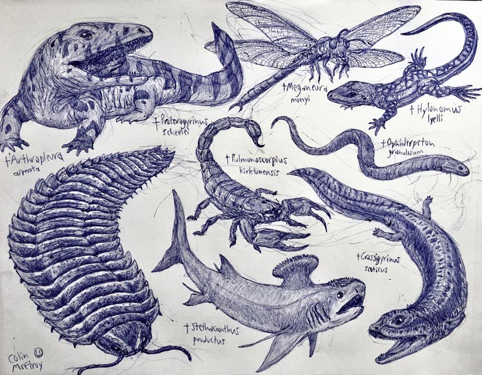 Carboniferous Animals