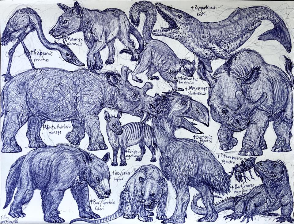 Paleocene and Eocene Animals by MickeyRayRex on DeviantArt