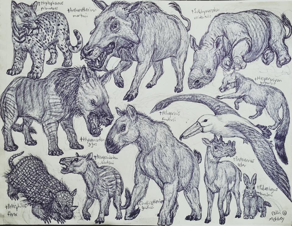 Oligocene Animals by MickeyRayRex on DeviantArt Oligocene Animals by MickeyRayRex on DeviantArt