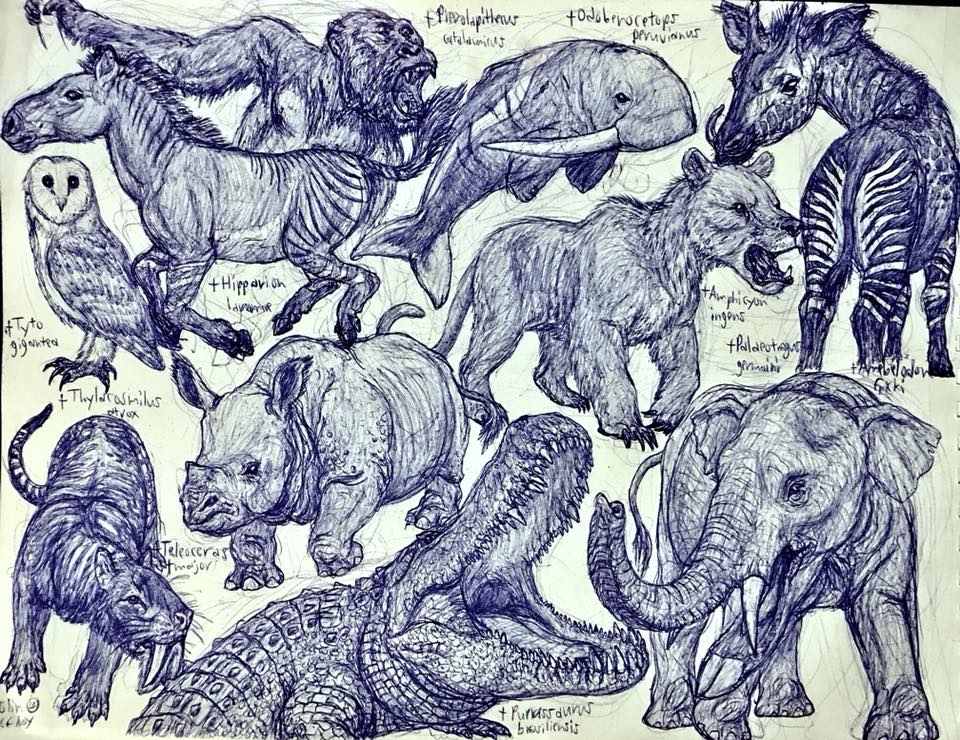 Miocene Animals by MickeyRayRex on DeviantArt
