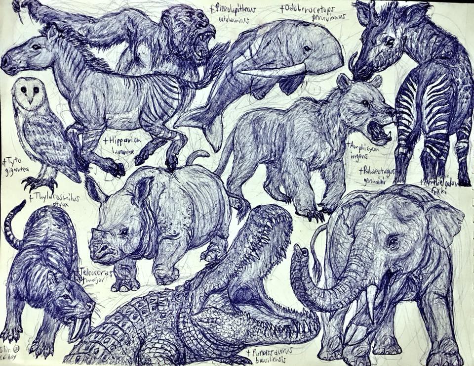 Miocene Animals by MickeyRayRex on DeviantArt Miocene Animals by MickeyRayRex on DeviantArt