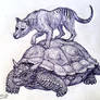Meiolania and Thylacine