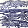 Giant Amphibians