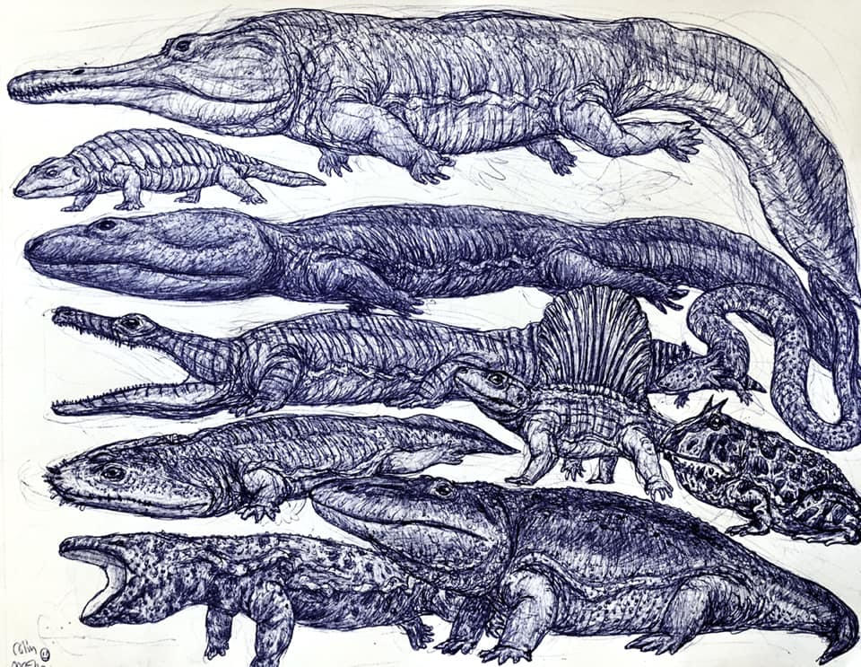 Giant Amphibians by MickeyRayRex on DeviantArt
