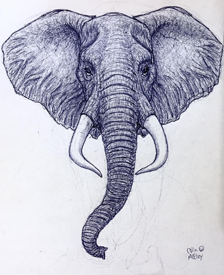 African Elephant Face by MickeyRayRex on DeviantArt