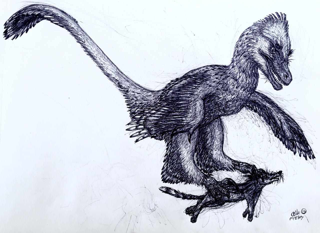 Pouncing Raptor Outline Pouncing Raptor by MickeyRayRex on DeviantArt