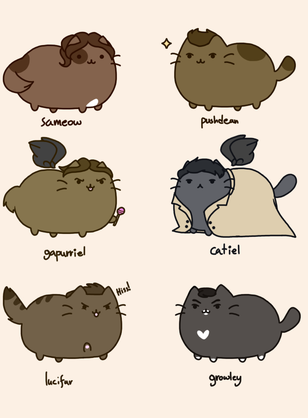 Pusheen SUPERNATURAL - STYLE