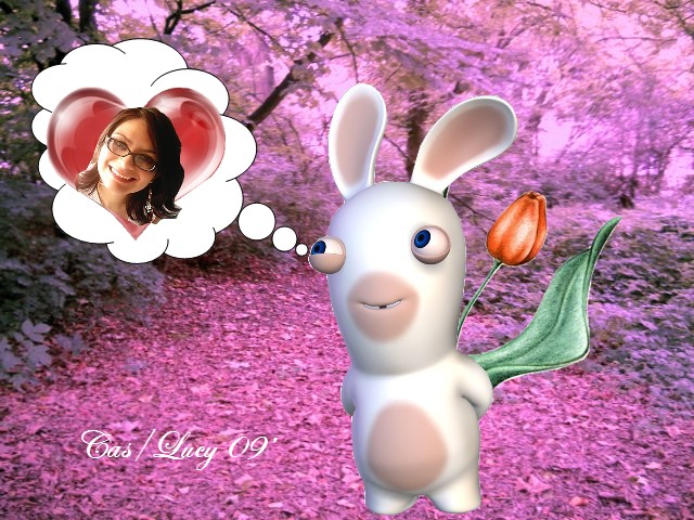 Cute Rabbid by CasLucy on DeviantArt