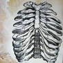 Ribcage