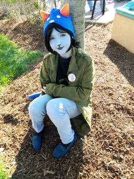 nepeta leijon cosplay