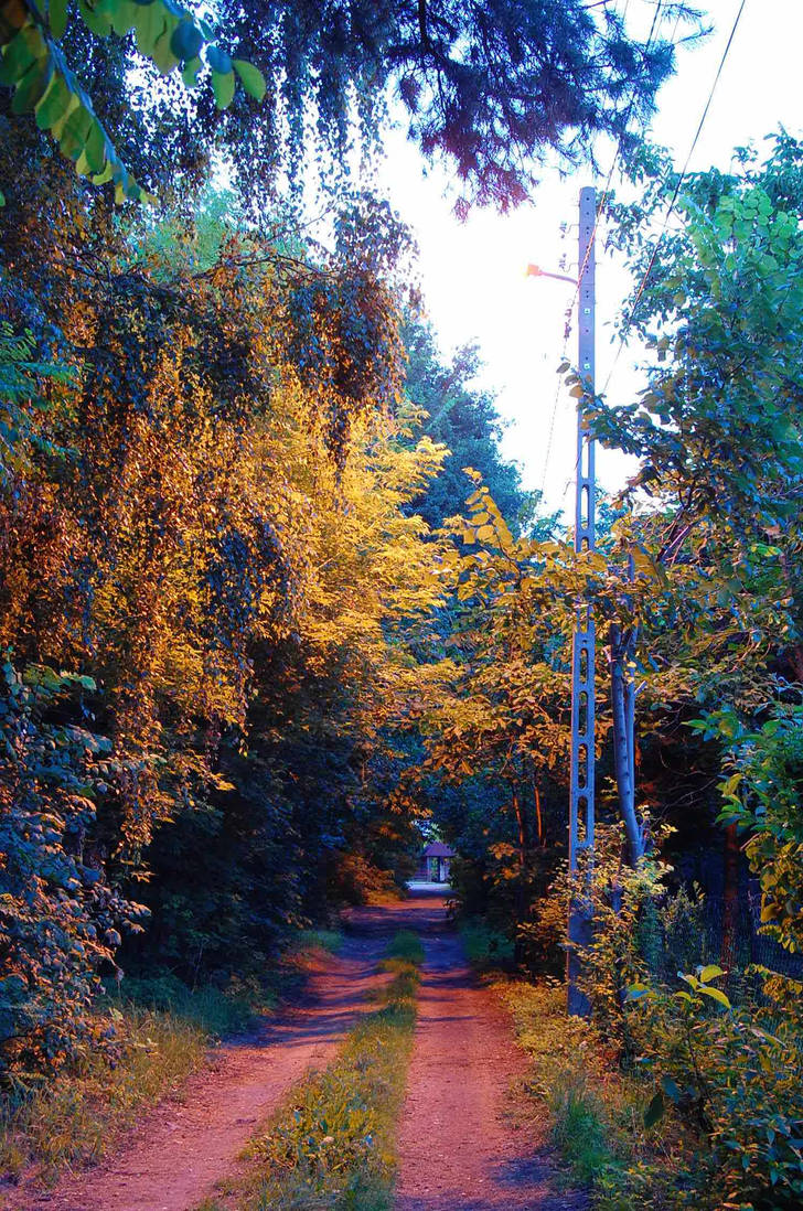 Fall July Autumn in July... by clockwork-strawberry on DeviantArt