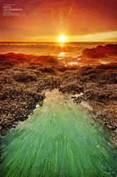 cape perpetua