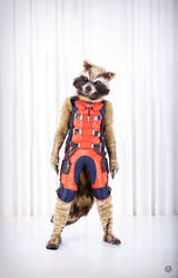 Rocket  Raccoon