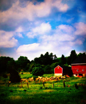 Red Barn