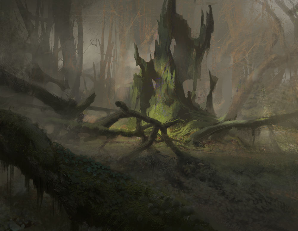 Forest by timothy-rodriguez on DeviantArt