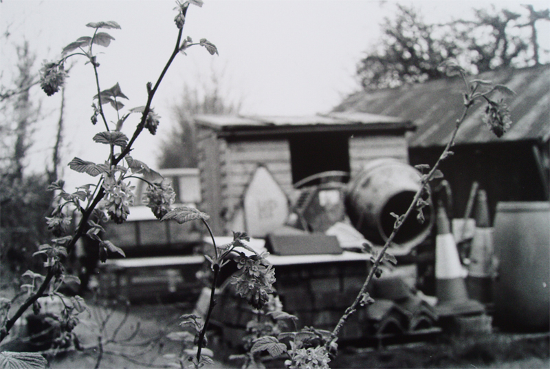 Plants and a Concrete Mixer