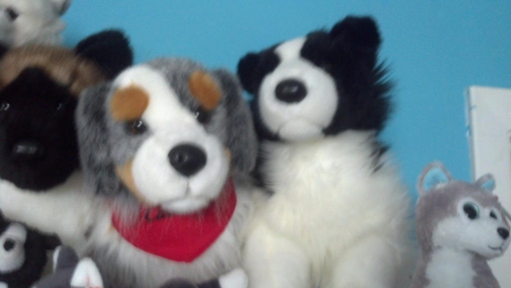 douglas dogs by Akitas237 on DeviantArt