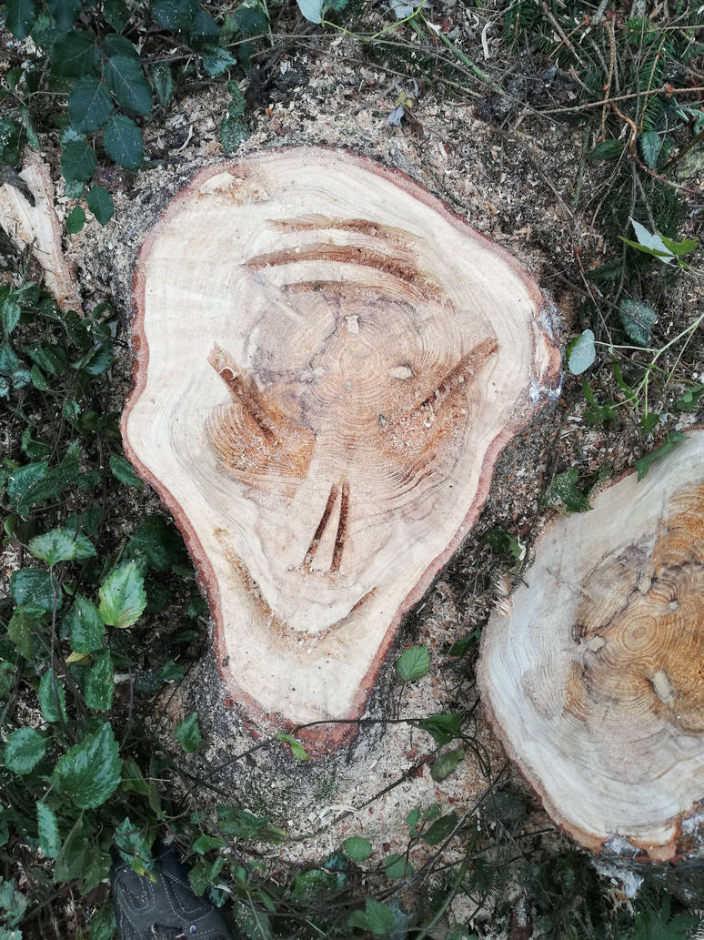 Wooden Alien face by Dasichnichtdu on DeviantArt