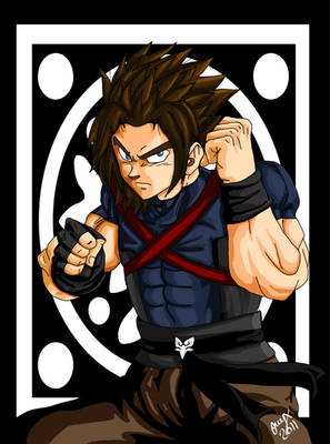 DBZ Terra