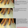 Nail Tutorial 5