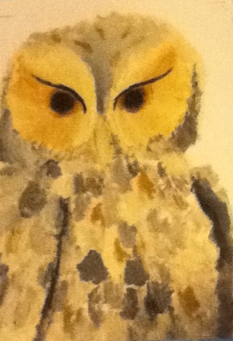 Owl