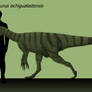 Herrerasaurus ischigualastensis