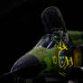 Viggen