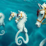 Create A Pod Of Seahorse With Gold Bridle And Rein