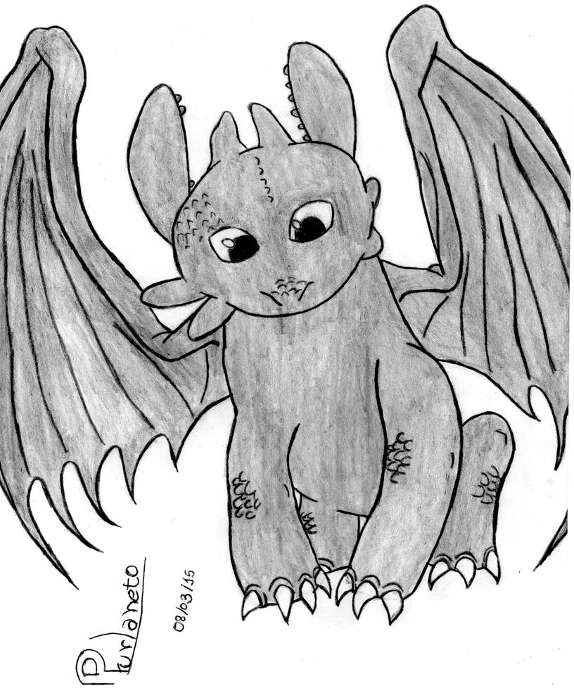 The Night Fury-How to Train Your Dragon(Toothless) by PrincessDark132 ...