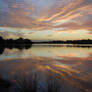 Canning River reflections