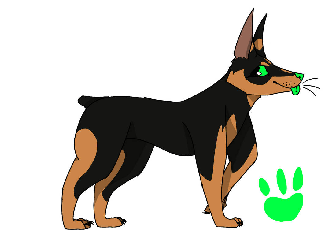 Random char by windywolf2 on DeviantArt