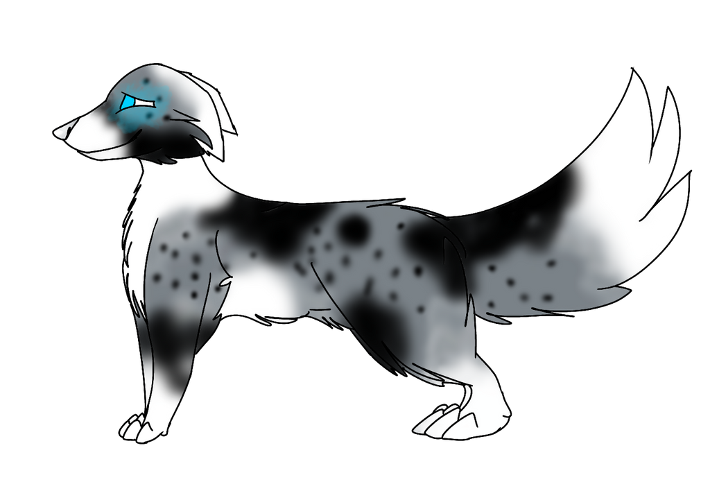 Random char by windywolf2 on DeviantArt