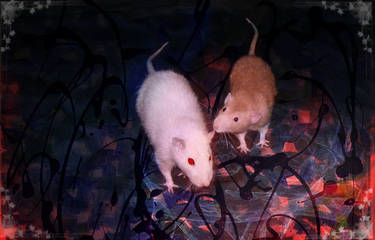 Pretty Rats