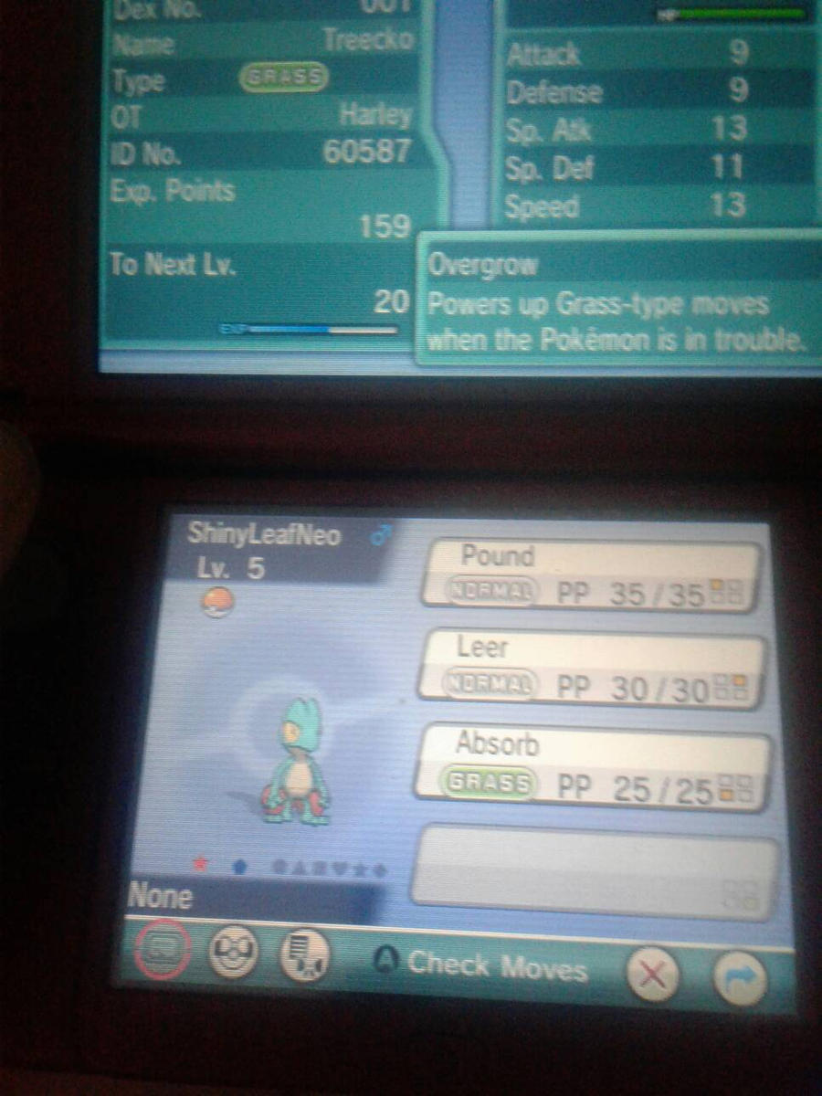 Shiny Treecko In Pokemon Alpha Sapphire At 245 Srs By Harleytheshinyeevee On Deviantart Shiny Treecko In Pokemon Alpha Sapphire At 245 Srs By Harleytheshinyeevee On Deviantart