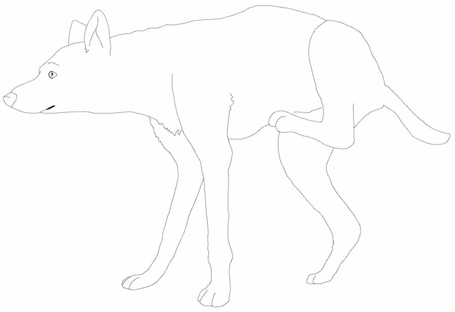 Basic Wolf Lineart Wolf lineart 1 by H8nLof on DeviantArt