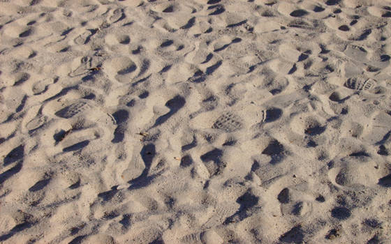 footprints in the sand