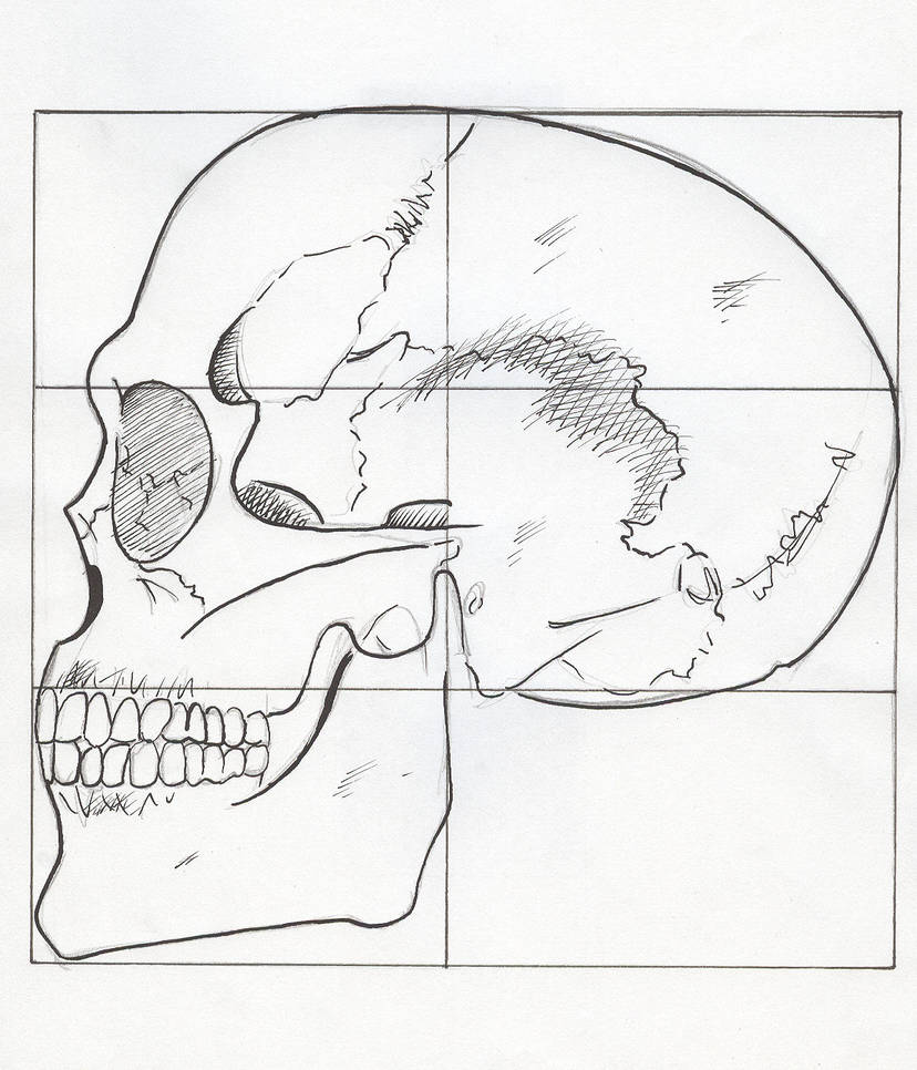 Normal Calavera Calavera-Referencia by KingLJB on DeviantArt