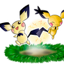 Pichu's Day