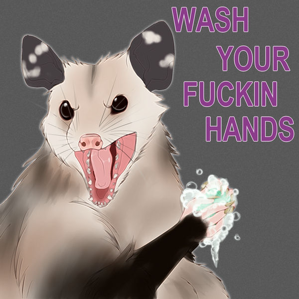 |Friendly possum reminder|