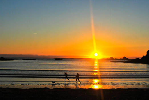 Running in the Sunset