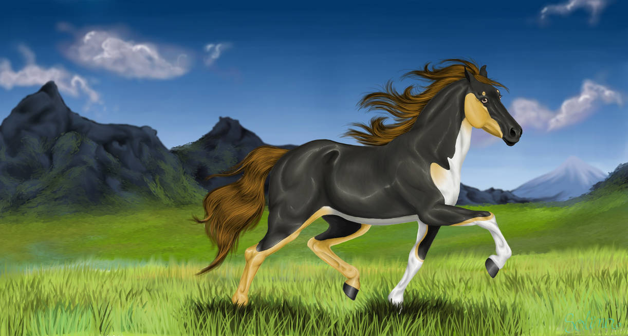Лошадки ремикс. Мультяшные лошади. Лошадь рисунок. Картинки лошадей. Лошадь бежит.