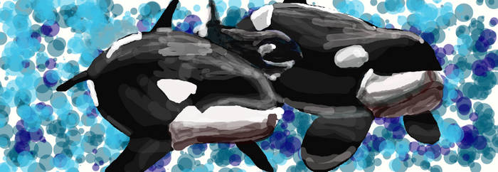 Killer Whales