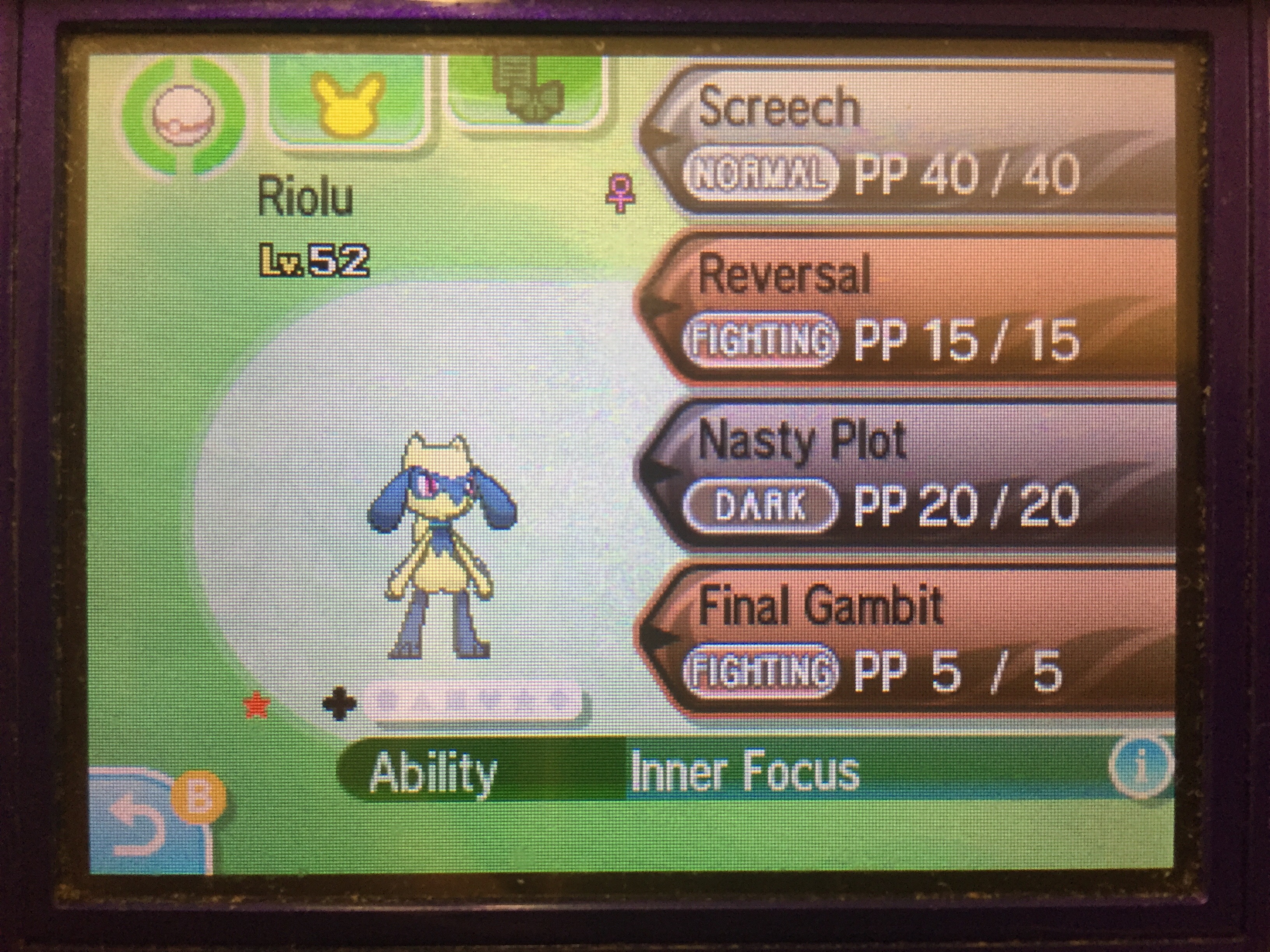 Shiny Female Riolu!